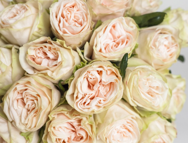 wedding rose